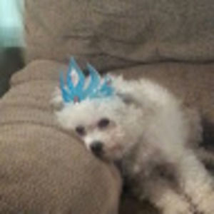 Meet your Posher, Erin